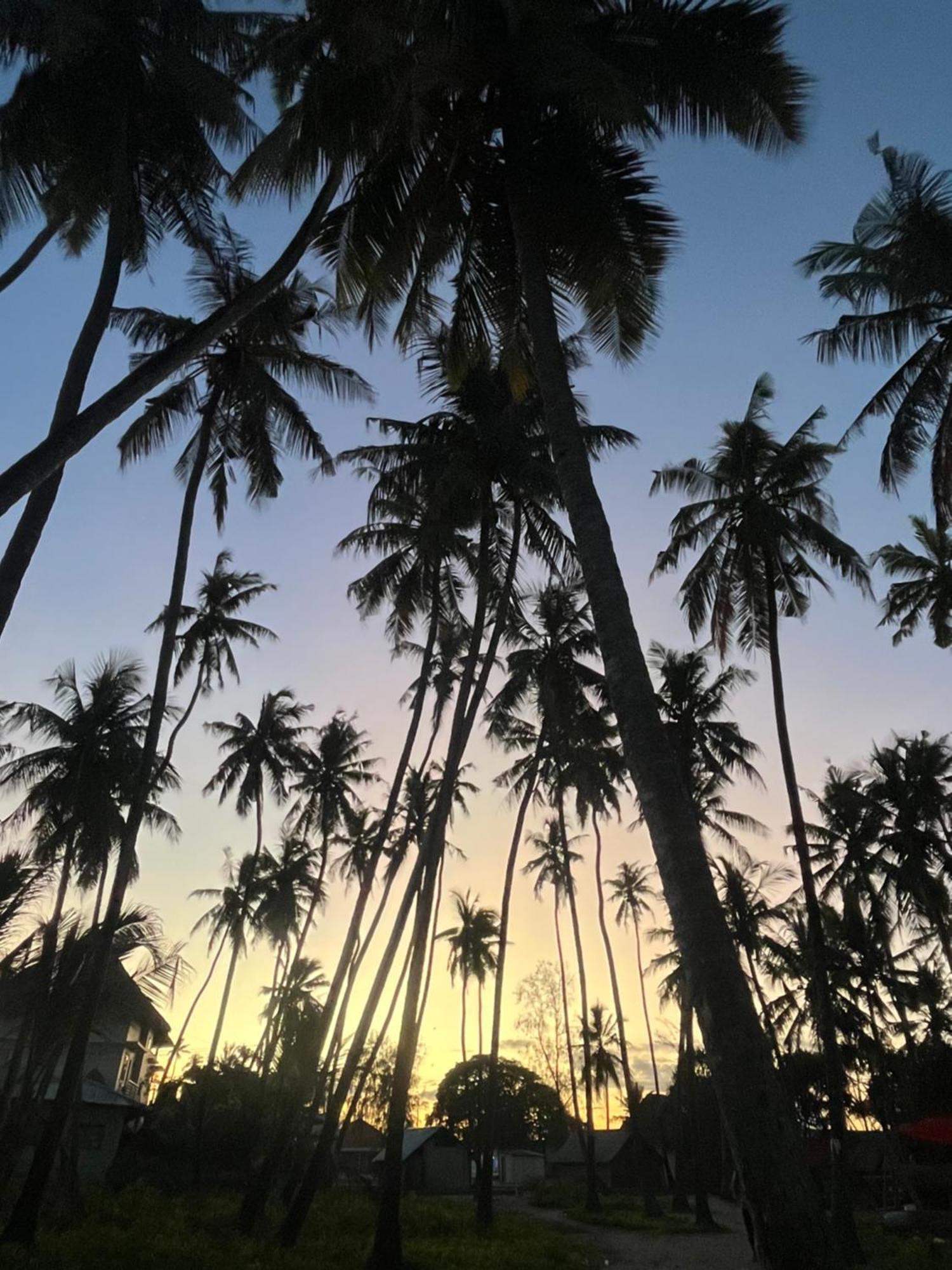 Bed and Breakfast Fish House Nungwi Exterior foto